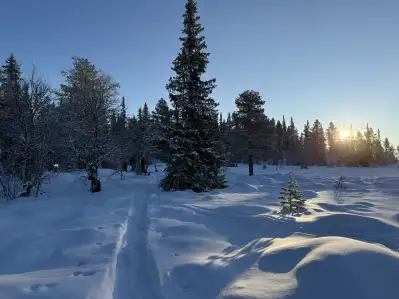 Winterretraite Noorwegen januari 2027